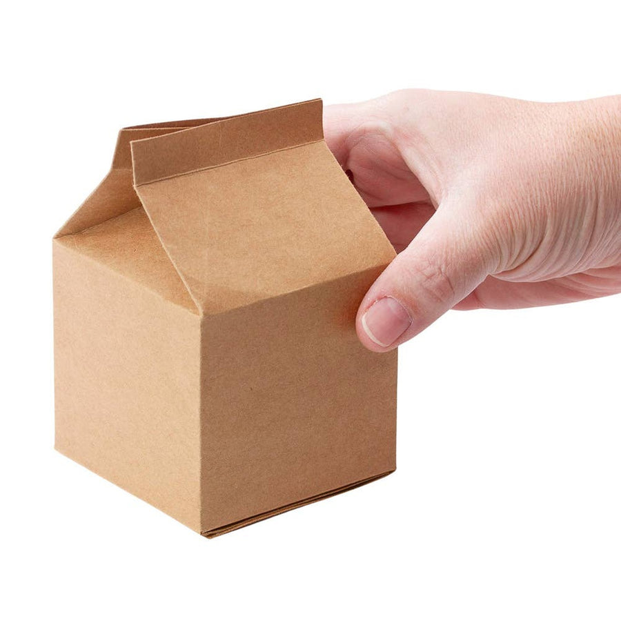 Kraft Milk-Carton Favor Boxes, 24 Pack close-up view